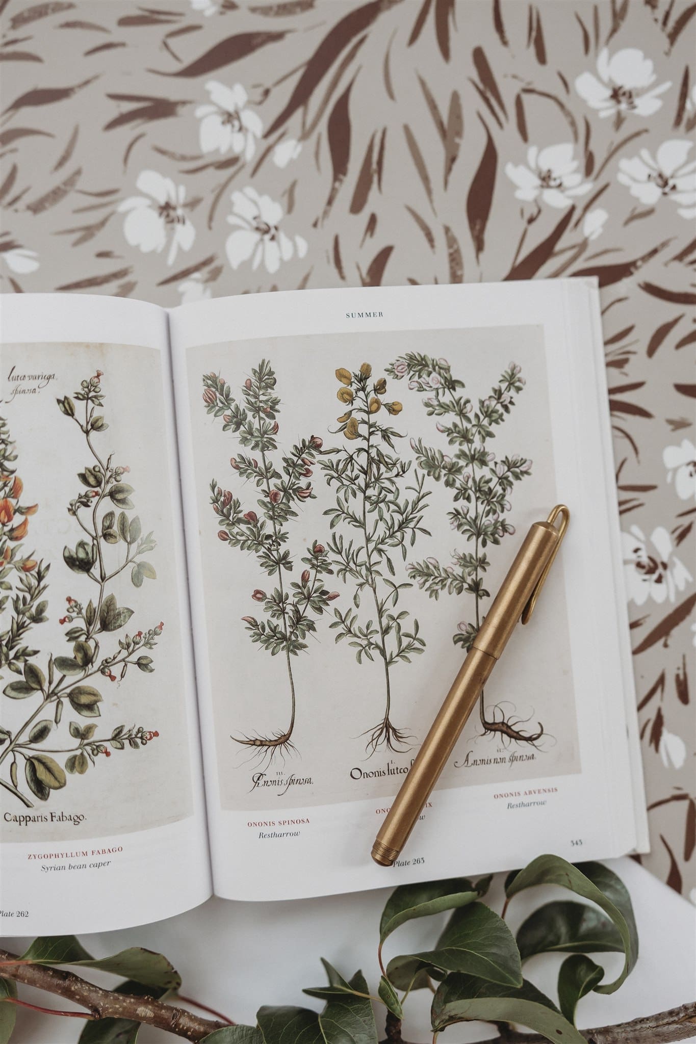 Open book with Leaves